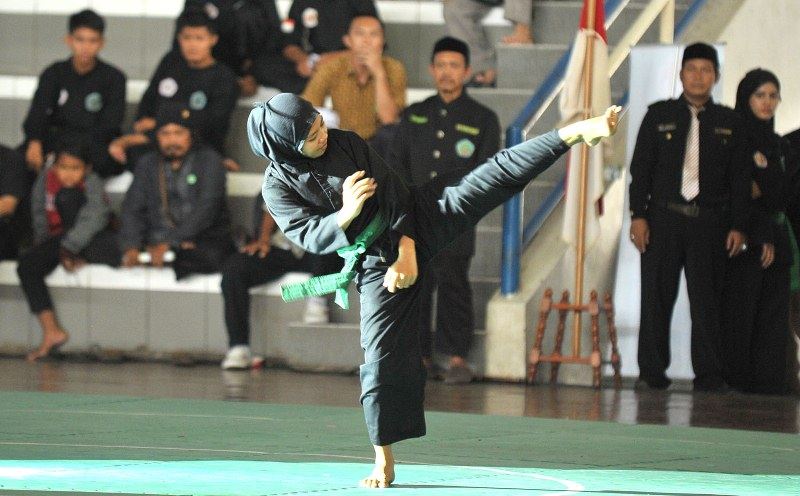 Detail Foto Pencak Silat Pagar Nusa Nomer 17