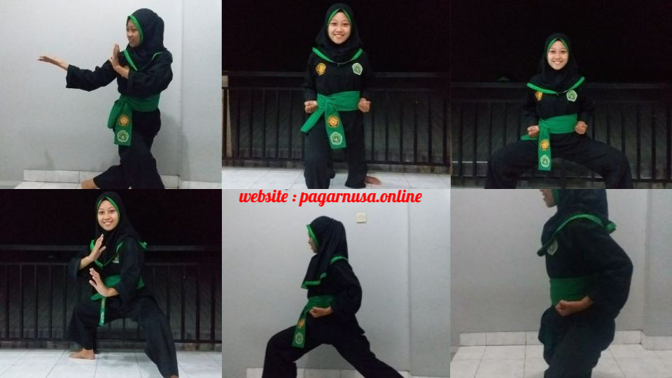 Detail Foto Pencak Silat Pagar Nusa Nomer 33