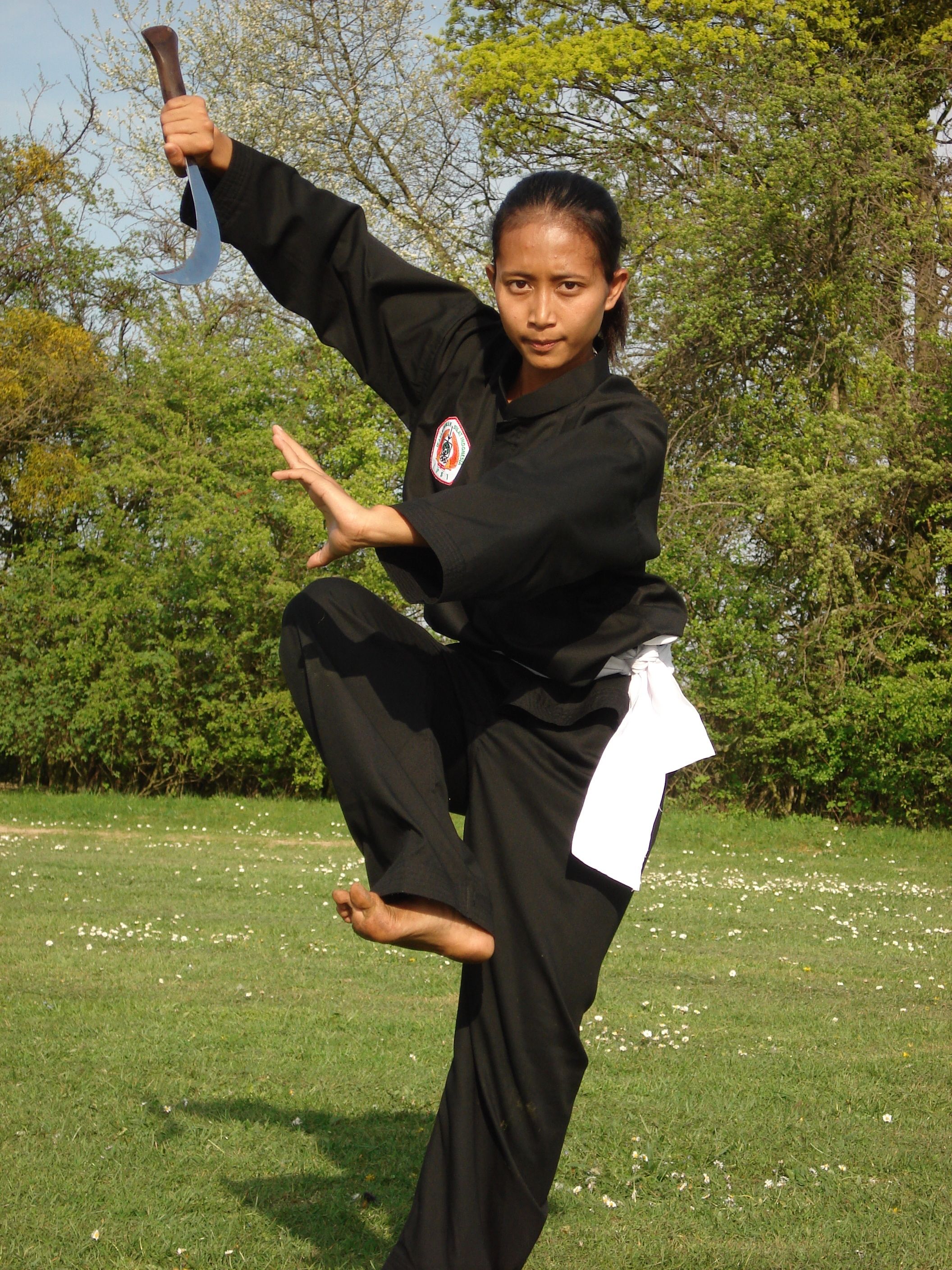 Detail Foto Pencak Silat Wanita Nomer 3