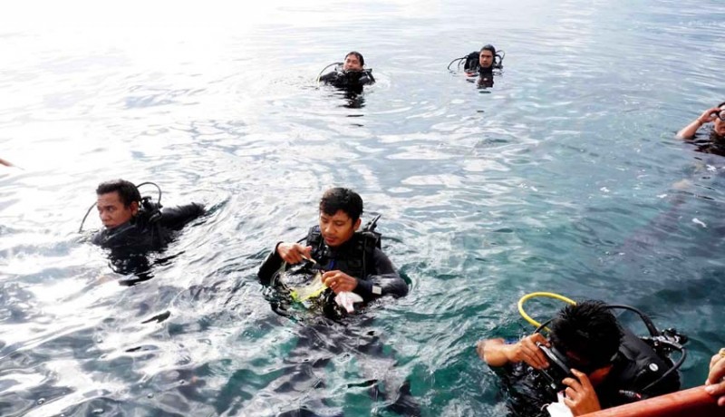 Detail Foto Penyelam Bawah Laut Nomer 33