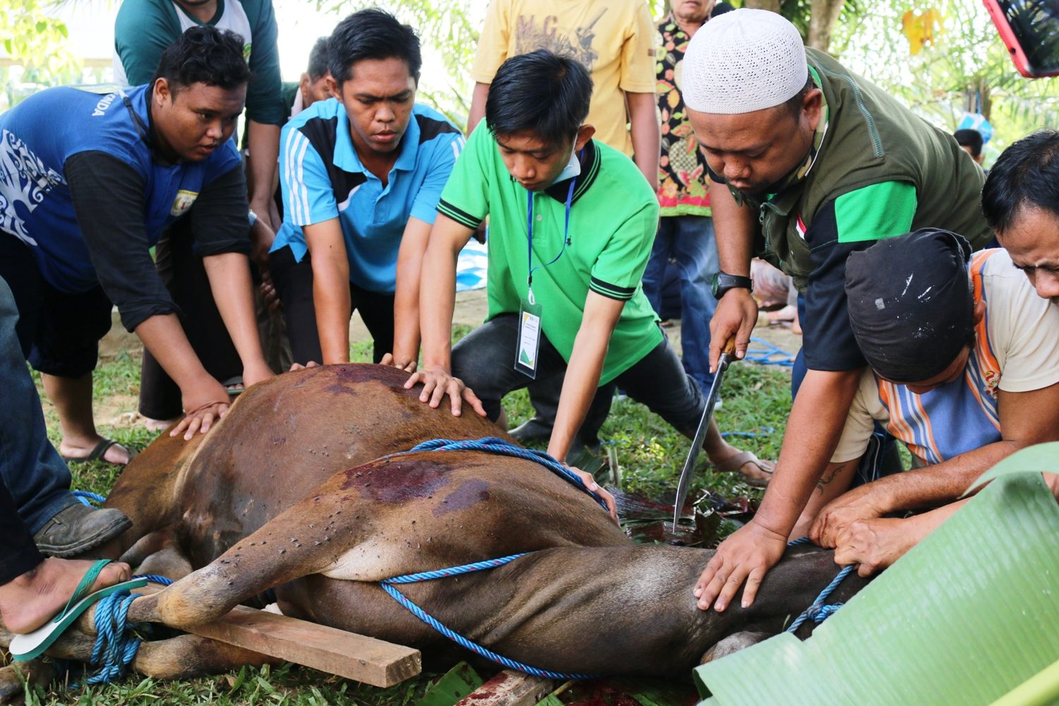 Detail Foto Penyembelihan Hewan Kurban Nomer 2