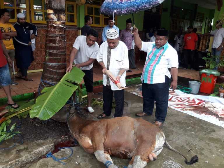 Detail Foto Penyembelihan Hewan Kurban Nomer 9