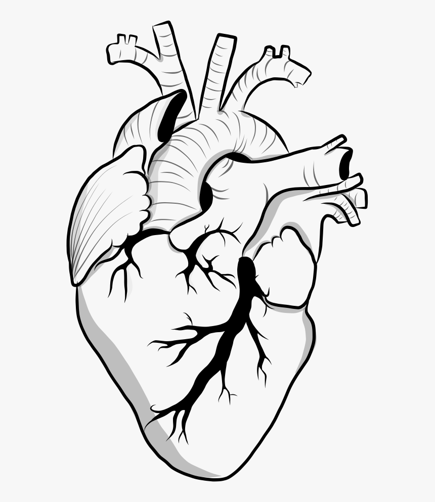 Detail Heart Aesthetic Nomer 21