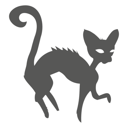 Detail Hexe Katze Nomer 16