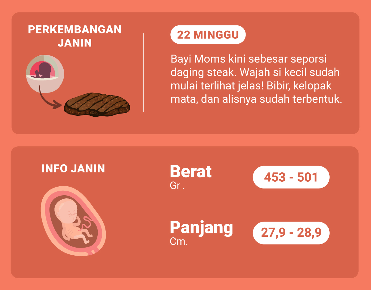 Detail Foto Perkembangan Janin Dari Minggu Ke Minggu Nomer 18
