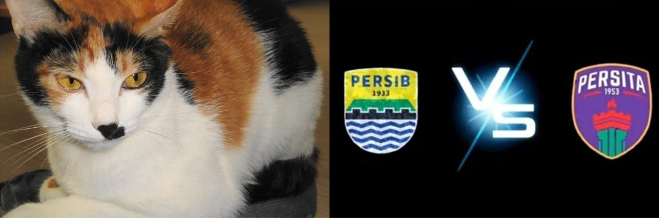 Detail Foto Persib Lucu Nomer 45