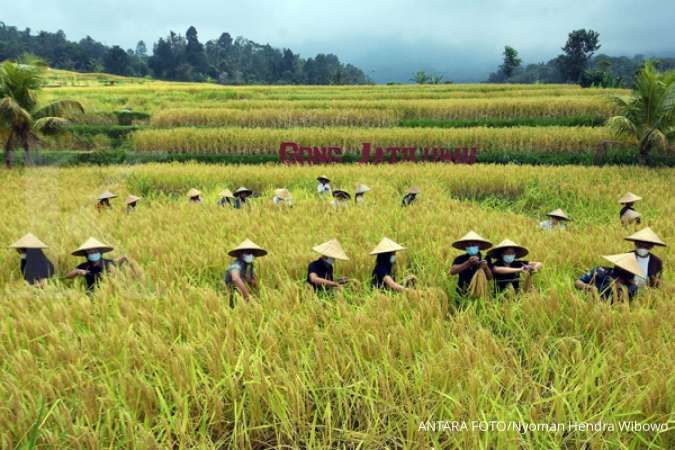 Detail Foto Petani Panen Padi Nomer 5