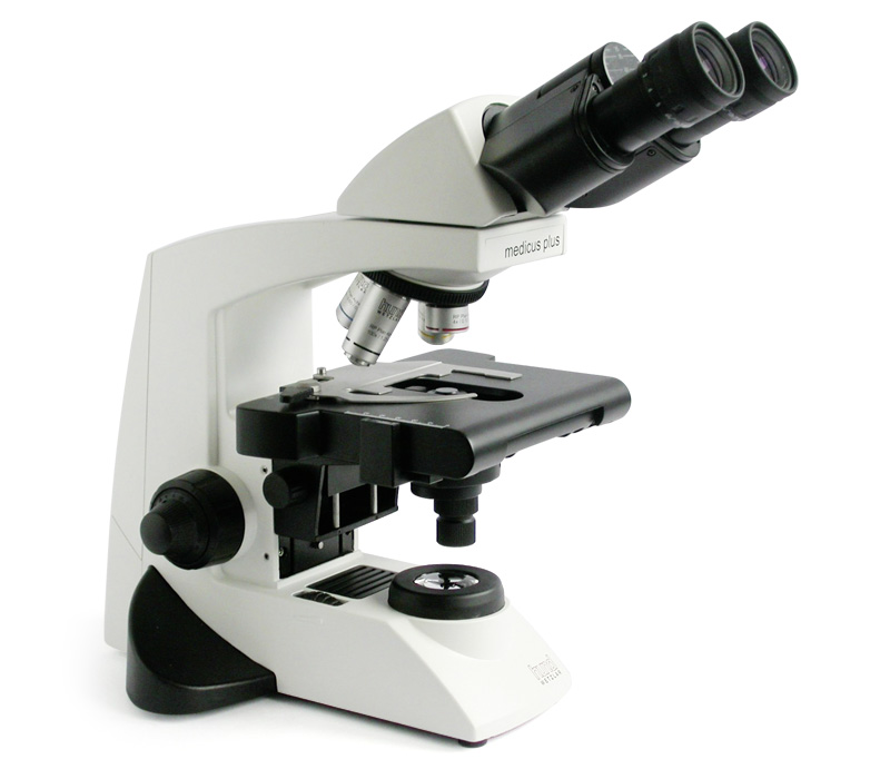 Detail Urinsediment Mikroskop Nomer 2