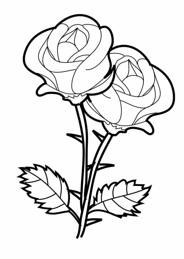 Detail Blumen Mandala Vorlage Nomer 6