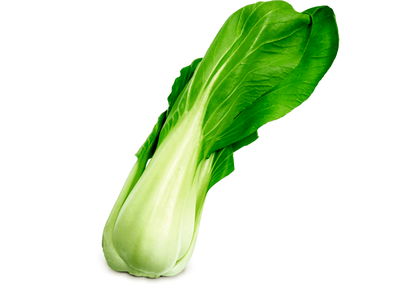 Detail Blumenkohl Pak Choi Nomer 7