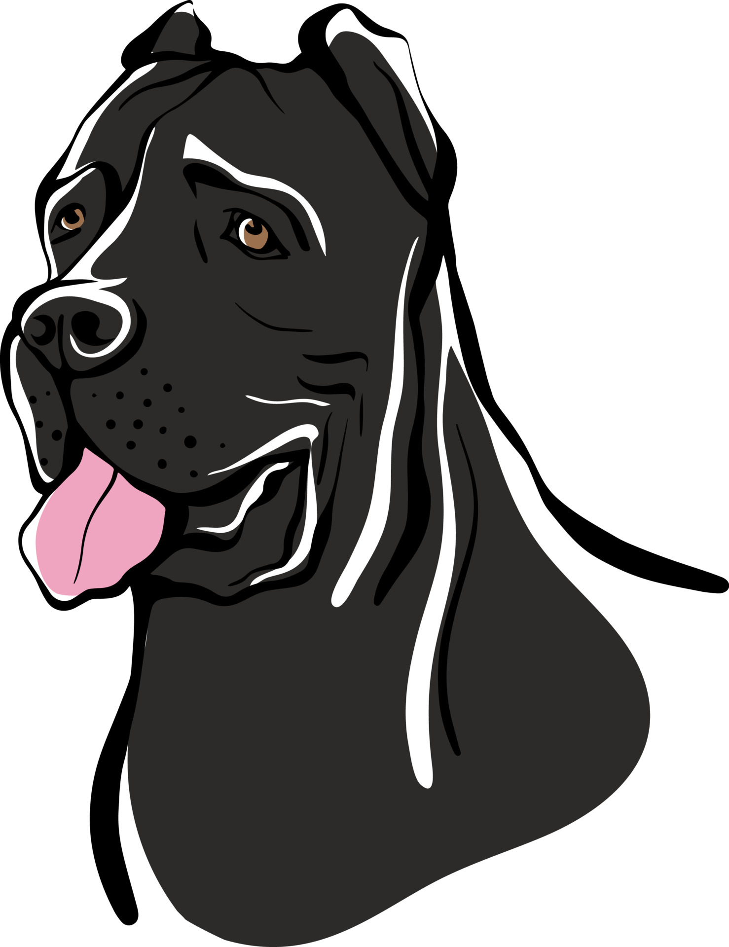 Detail Cane Corso Oder Rottweiler Nomer 10