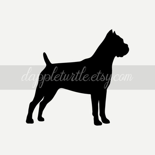 Detail Cane Corso Oder Rottweiler Nomer 19