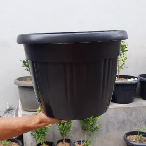 Detail Foto Pot Bunga Plastik Nomer 45