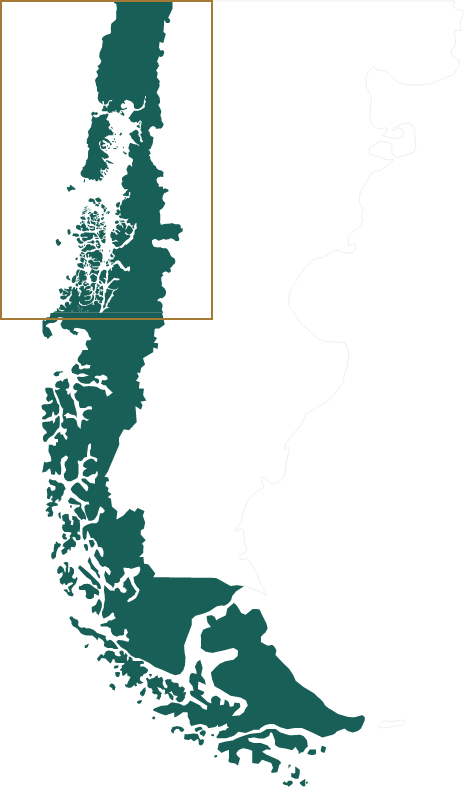 Detail Mapa Puerto Montt Nomer 9