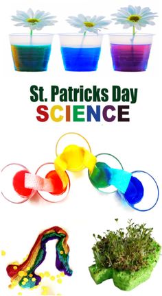 Detail St Patricks Day Essen Nomer 21