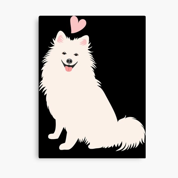 Detail American Eskimo Dog Bears Nomer 20