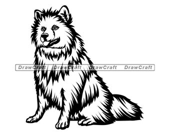 Detail American Eskimo Dog Bears Nomer 24