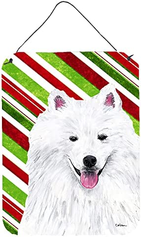 Detail American Eskimo Dog Bears Nomer 3