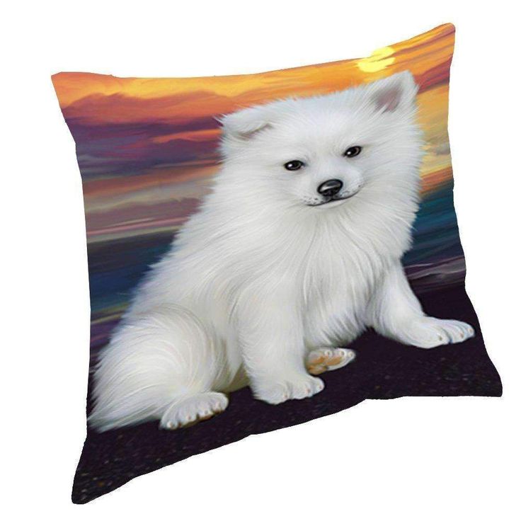 Detail American Eskimo Dog Bears Nomer 4