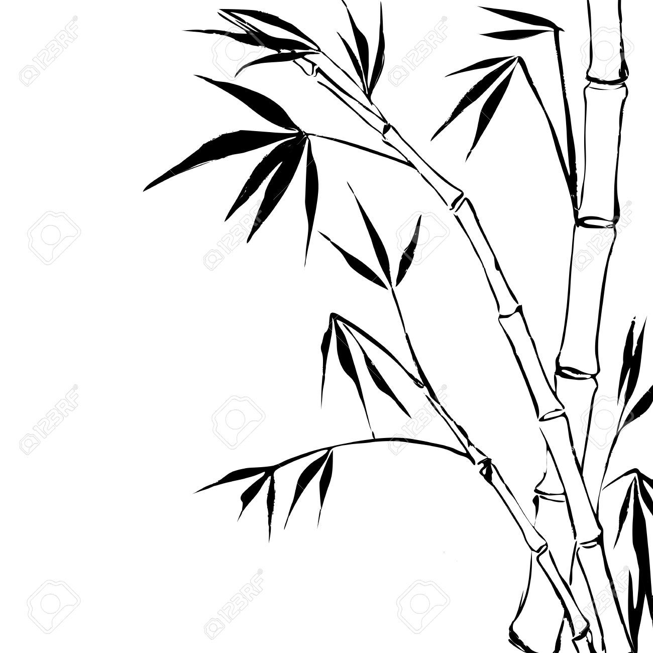 Detail Bambus Zeichnen Nomer 5
