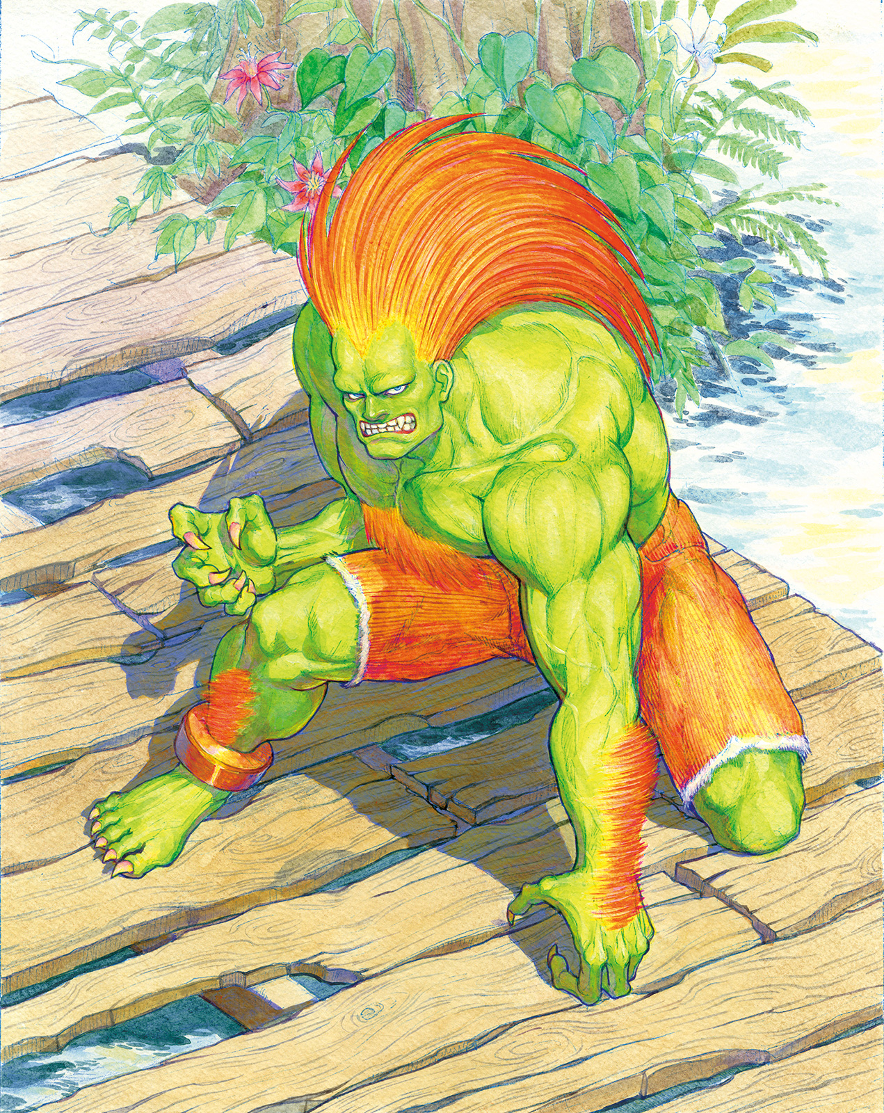 Detail Blanka Street Fighter Nomer 14