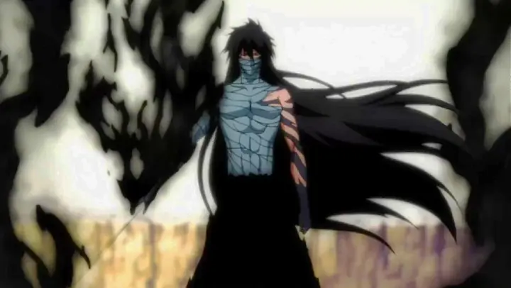 Detail Bleach Ichigo Vs Aizen Nomer 41