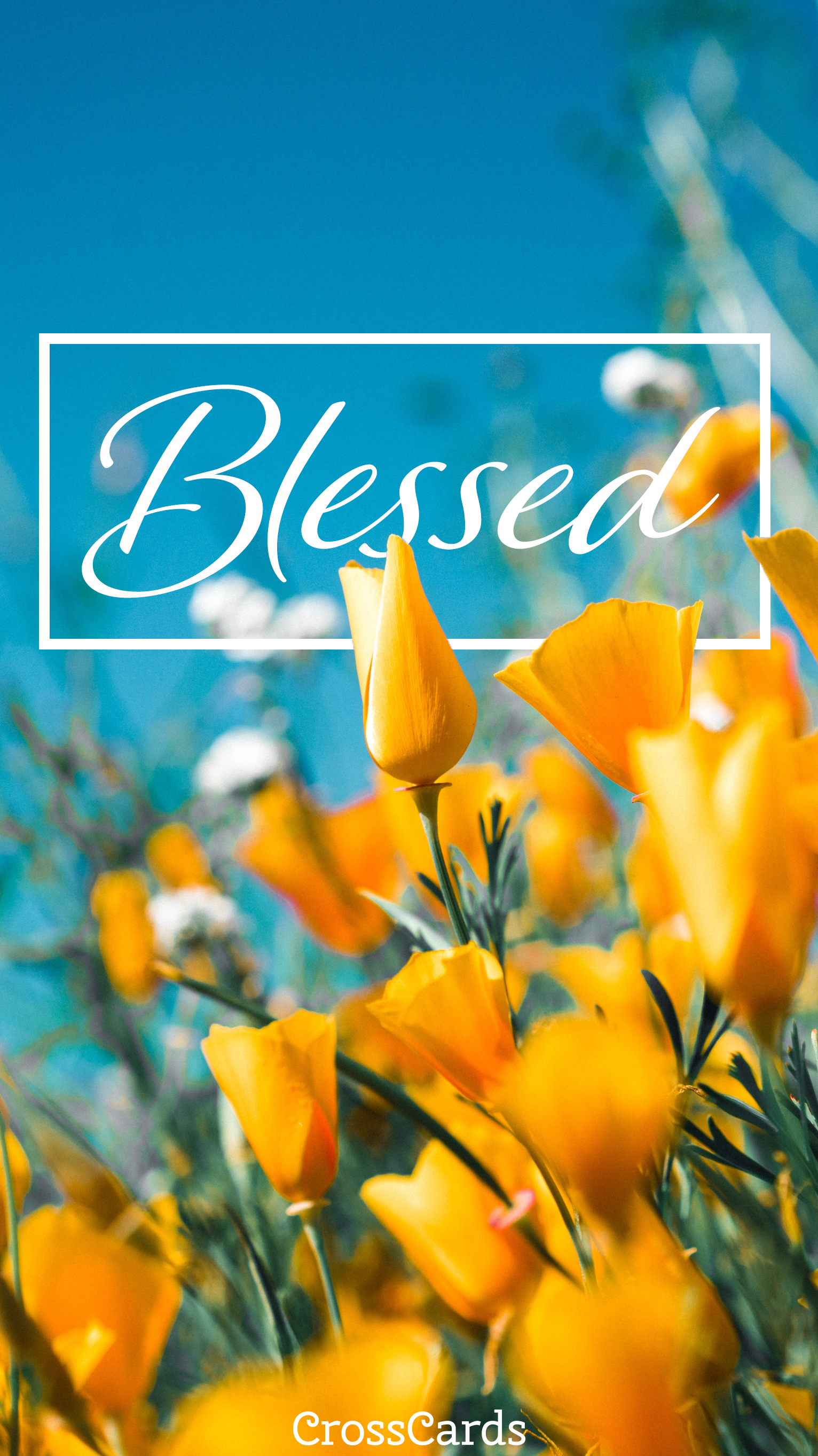 Detail Blessed Wallpaper Nomer 9