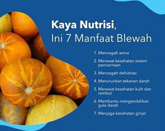 Detail Blewah Dan Labu Nomer 11