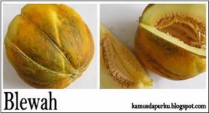Detail Blewah Dan Labu Nomer 13