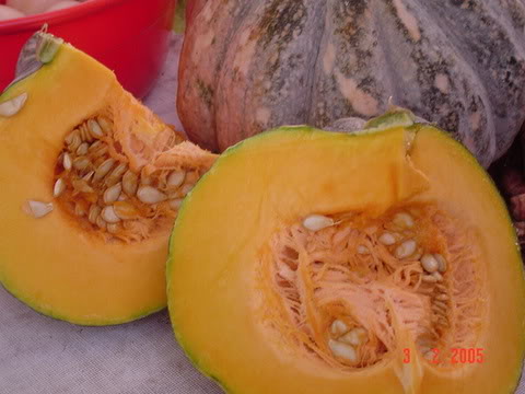 Detail Blewah Dan Labu Nomer 14