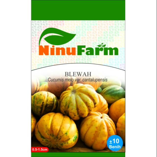 Detail Blewah Dan Labu Nomer 27