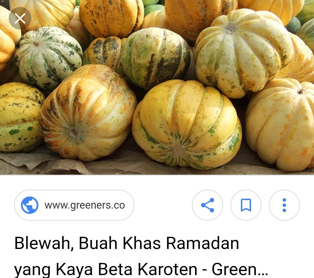 Detail Blewah Dan Labu Nomer 48