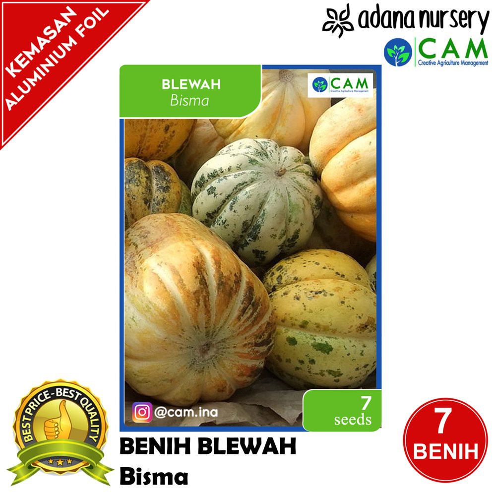 Detail Blewah Dan Labu Nomer 49