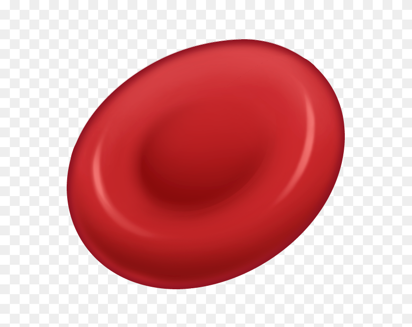 Detail Blood Cell Png Nomer 13