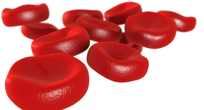 Detail Blood Cell Png Nomer 37