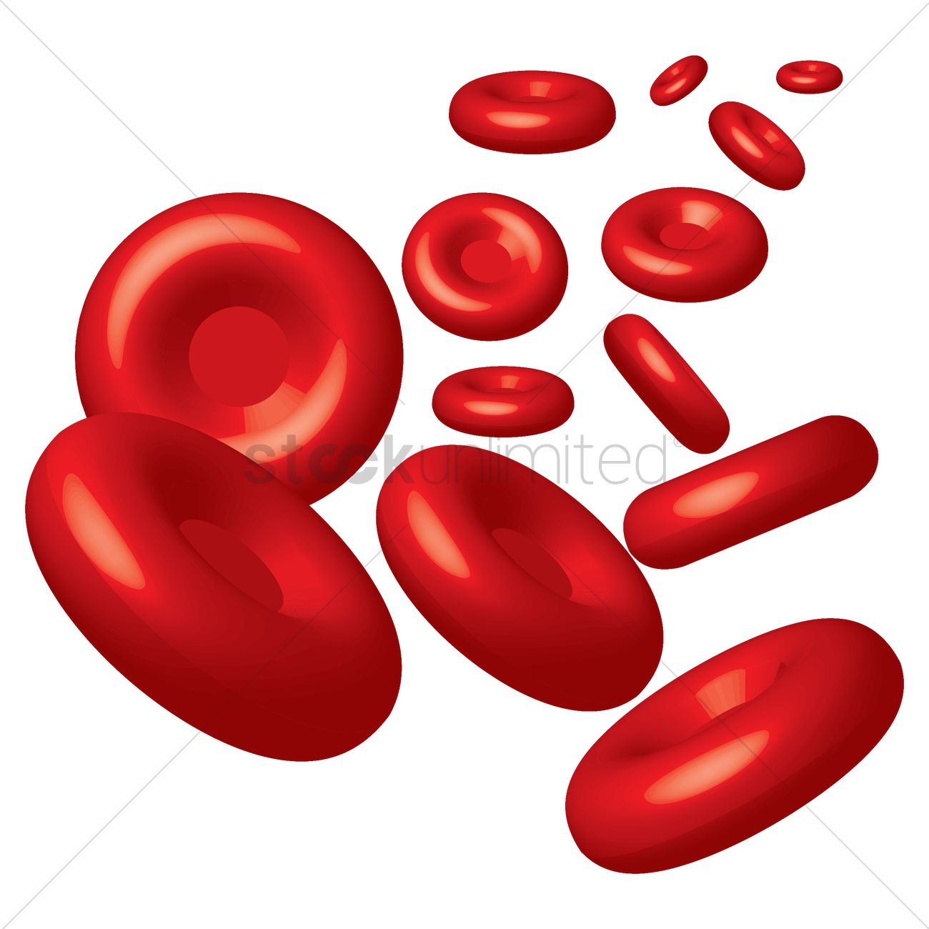 Detail Blood Cell Png Nomer 41