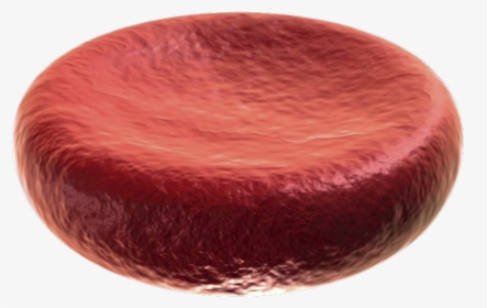 Detail Blood Cell Png Nomer 55