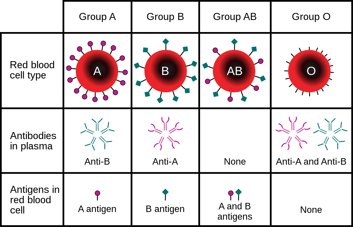 Detail Blood Image Nomer 52