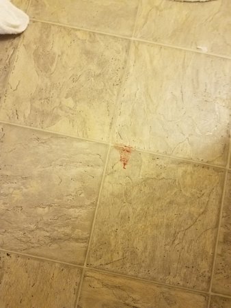 Detail Blood On Floor Pictures Nomer 55