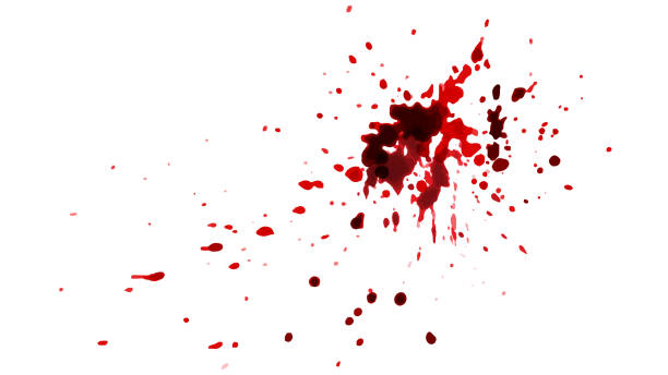 Detail Blood Spill Transparent Nomer 50