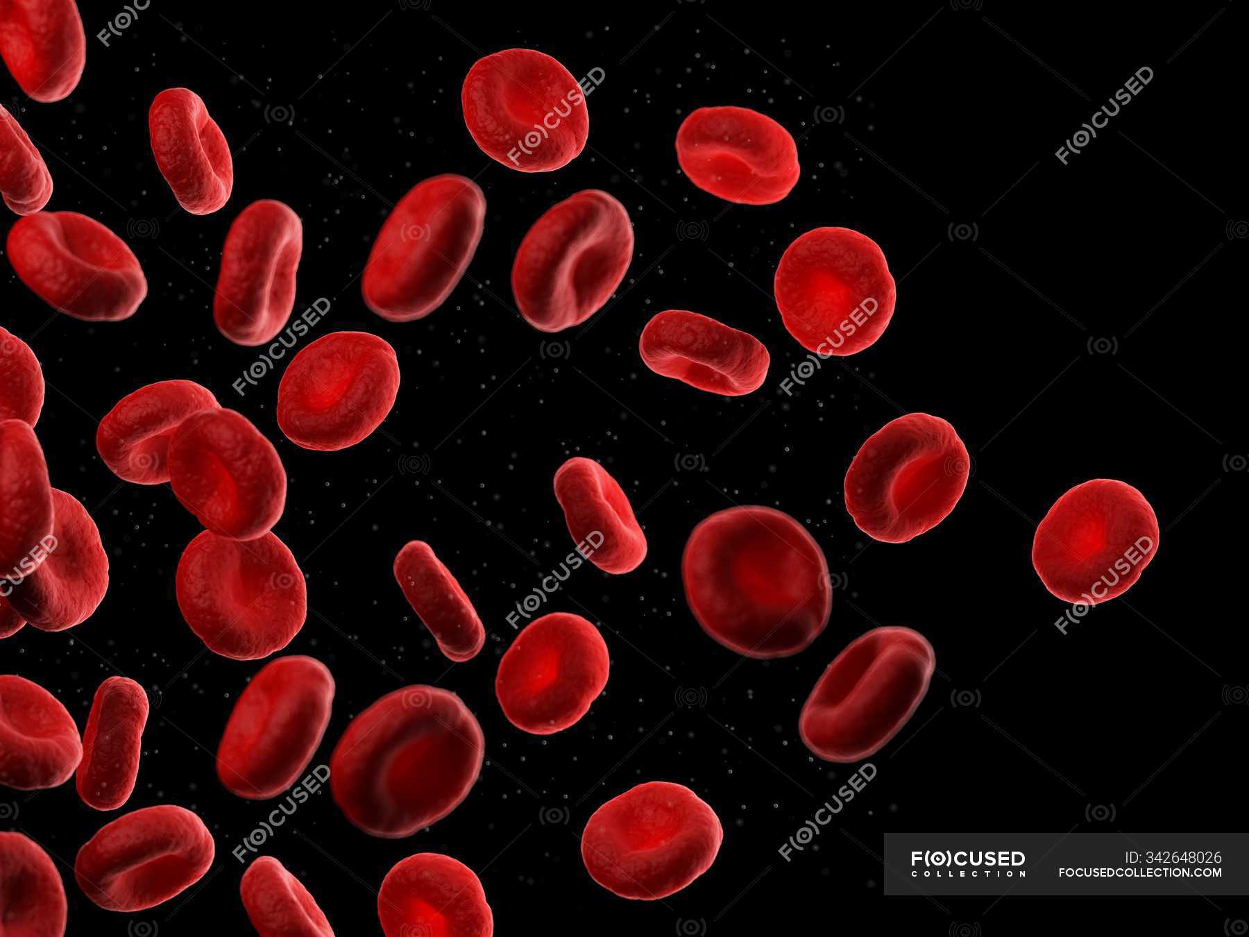 Detail Blood Stock Image Nomer 54