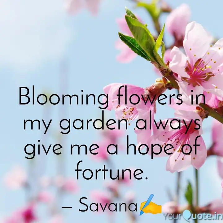 Detail Blooming Garden Quotes Nomer 20