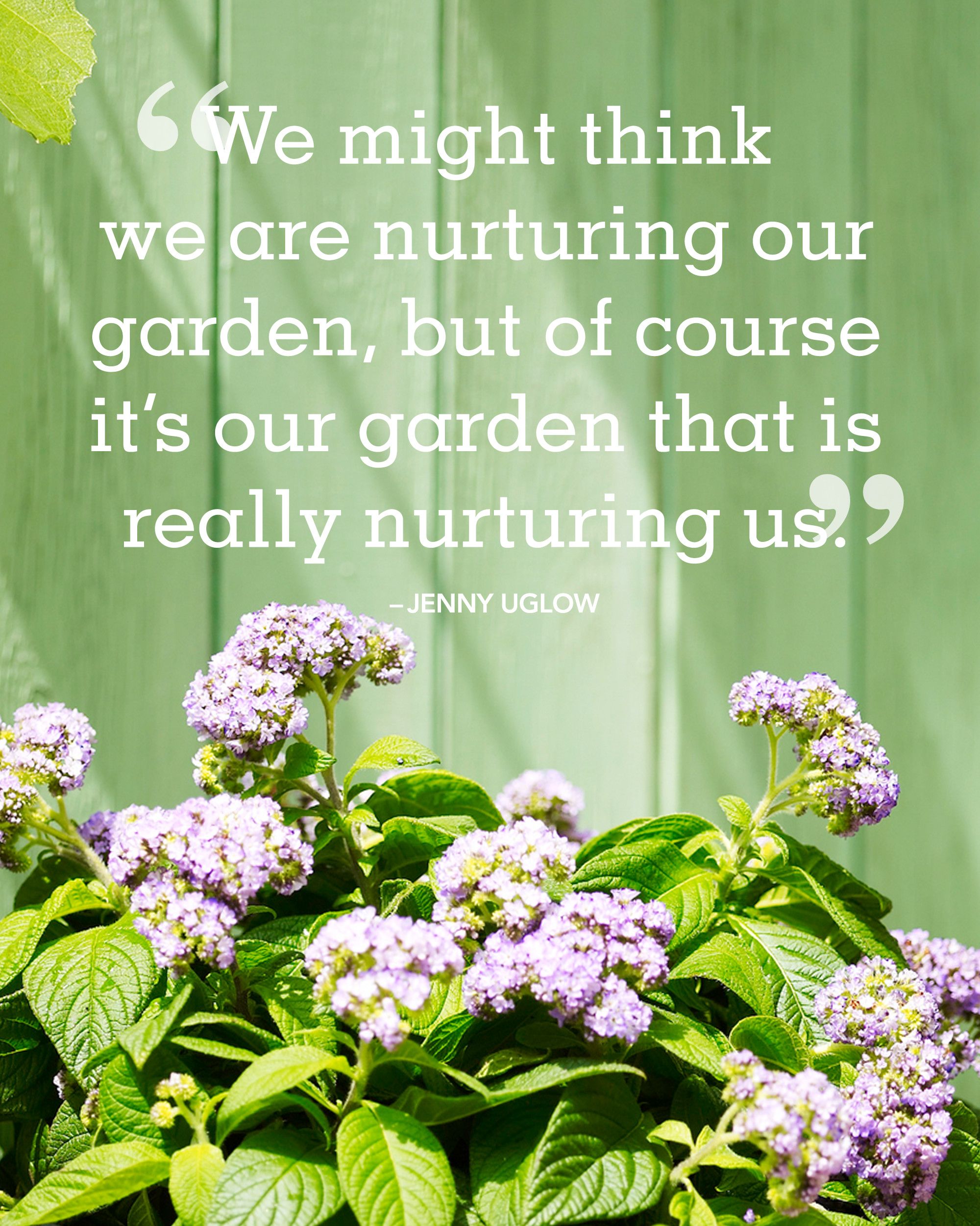 Detail Blooming Garden Quotes Nomer 4