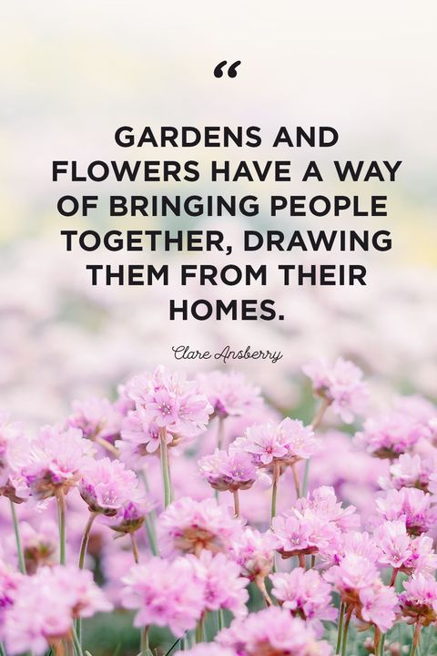 Detail Blooming Garden Quotes Nomer 5