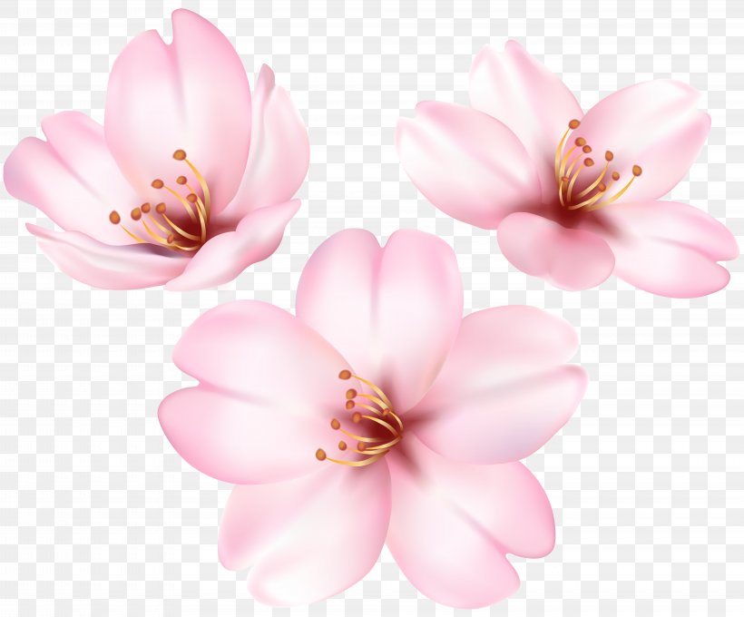 Detail Blossom Flower Clip Art Nomer 17