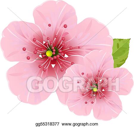 Detail Blossom Flower Clip Art Nomer 52
