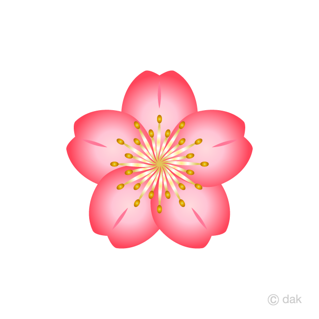 Detail Blossom Flower Clip Art Nomer 7