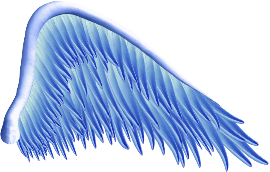 Detail Blue Angel Wings Png Nomer 12