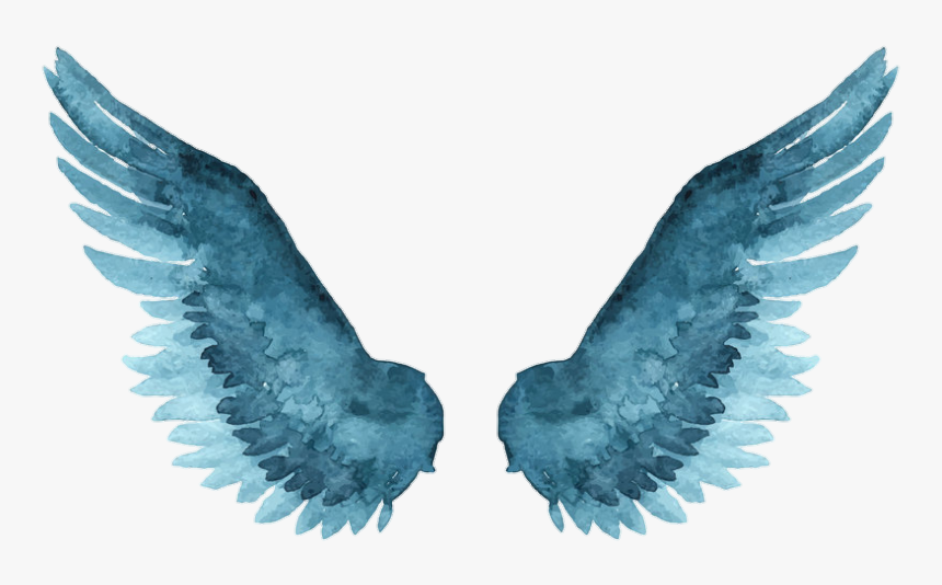 Detail Blue Angel Wings Png Nomer 24