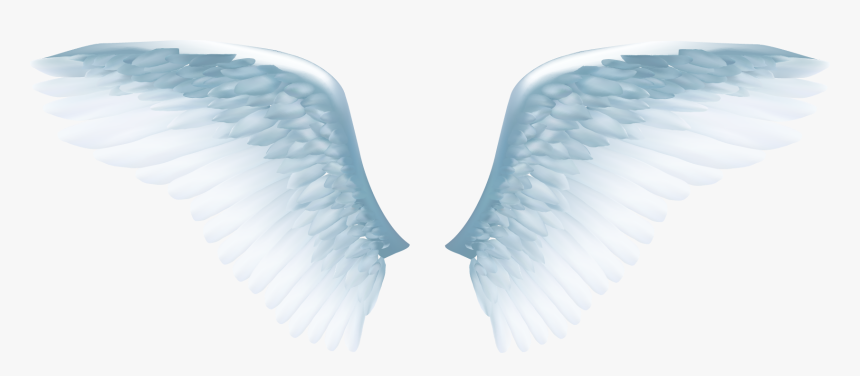 Detail Blue Angel Wings Png Nomer 36